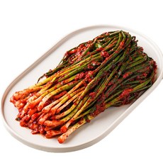 홍주부 30년 전통 국산 파김치, 1개, 1kg