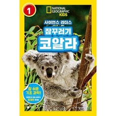 [비룡소] 잠꾸러기 코알라 (내셔널지오그래픽 키즈) [따뜻한책방]