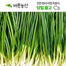 < 바른농산 > 국내산 깐쪽파 쪽파 (800g~1kg), 900g, 5개