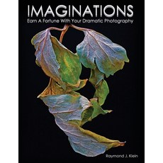 (영문도서) Imaginations: Earn A Fortune With Your Dramatic Photography Paperback, Pageturner Press and Media, English, 9781638712268