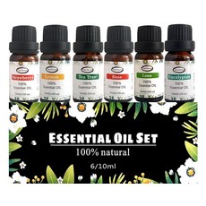 에센셜 오일 세트 디퓨저 가정용 100% 천연 에센셜 오일 DIY 라임 레몬 딸기 로즈 유칼립투스 티트리 탑 6팩 아로마테라피, 에센셜 오일 세트, 디퓨저 가정용 100% 천연 에센셜
