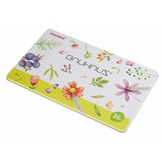 모나미 바우하우스 색연필 틴케이스 2p, 36색