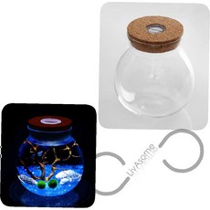 마리모 키우기 LED 유리병 코르크마개병 코르크유리병