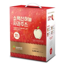 [소백산하늘] 대용량 친환경포장재 소백산하늘사과주스 5L, 1개