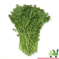 사라상회 쑥갓 4Kg, 4000g, 1개