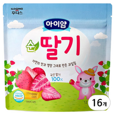 아이얌 과일칩, 12g, 16개