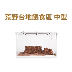 螞蟻帝國 荒野紅沙 長型 掀蓋式 壓克力 中型 餵食區 台地 螞蟻巢 蟻窩 養螞蟻, 1個