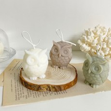 라온무드 부엉이캔들 / 유리돔 세트상품, 화이트, 롬브르단로