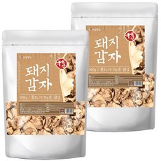 건강중심 국산 말린 돼지감자 건조 뚱딴지, 2개, 500g