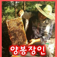 성도벌꿀 100%국내산 천연벌꿀 피나무꿀 2.4kg, 1개