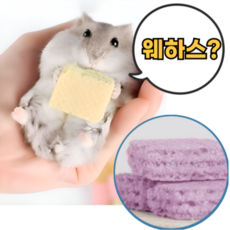 햄스터간식 포도 웨하스 이갈이 골든햄스터 간식 이갈이 먹이 사료 밥, 1세트, 18개