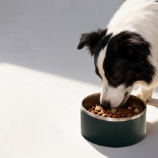 큐트스마트 반려동물 스테인리스 스틸 대용량 식기 1800ml, 그린, 1개