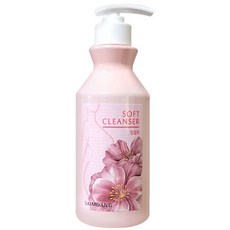 사임당 화장품 청결제 대용량 400ml 1개