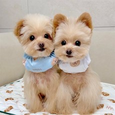 하나스마트 강아지 스카프 스누드 애견쿨링용품 애견케이프 강아지여름스카프, 아이스팩 화이트색 L/XL