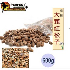 【波飛鸚鵡】大紅松子（生）600g /鸚鵡/松鼠, 1個