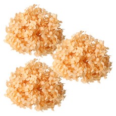 로맨틱노벰버 프리저브드 수국 3P, 오렌지