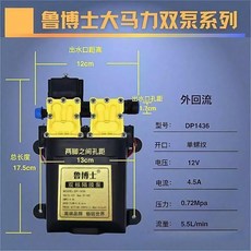魯博士 12V 雙核水泵, 1個, 魯博士12v大功率雙核泵