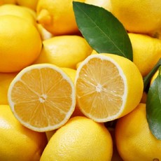 미국 레몬 소과 10과 (개당 100g 내외)