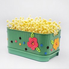 사각시루 동백 콩나물 키우키 세트 국산콩 40g 콩나물 기르기 재배기, 1세트