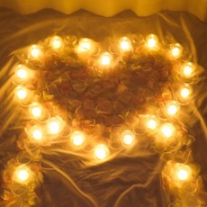 데이지룸 미니초 24개 + 꽃잎 세트