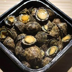 [푸드맛봄] 국내산 거문도 귀한 별미 급냉 배말 500g x 1개, 상세 설명 참조