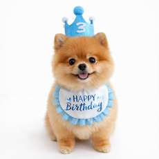 렛츠독 반려동물 생일 케이프 모자 숫자스티커 파티 촬영 소품 세트, 1개, 블루왕관세트