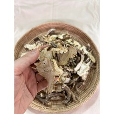 데오인삼 국내산 당귀, 1개, 600g