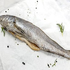 시원농수산 반건조 참민어1미(300g내외35cm내외), 단품, 단품