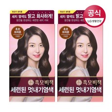 리엔 흑모비책 세련된 멋내기 염색제, 초코브라운, 2개