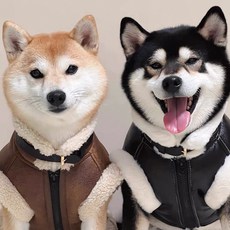 개신사 강아지 무스탕 패딩조끼 하네스 가죽자켓, 블랙, 1개