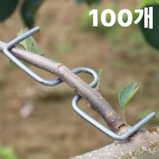 스텝바이그로 이클립 E클립 가지유인 원예용 나무가지 사과나무 포도 유인추, M13 100개, 1개