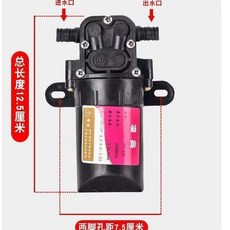 雨露 12V 隔膜水泵, 凌奧3.5L小泵 無贈品