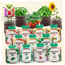 식물재배키트 방울토마토 딸기 고수 바질 키우기, 03고수