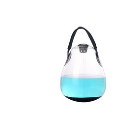 케틀벨 물주입 여행용 휴대 홈트 웨이트 운동 강도조절, 1개, 1g, 10kg