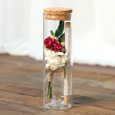 ROMANTIC NOVEMBER 乾花玻璃瓶花信, 特別康乃馨1P