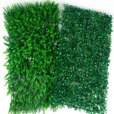 호이 인조 사각 잔디, 새순