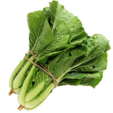 [굿피플] 얼갈이배추 얼갈이4kg 열무 배추얼갈이, 1개, 얼갈이배추 8kg