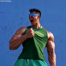 夏季健身肌肉運動背心男透氣吸濕網眼訓練無袖速乾坎肩短袖健身衣