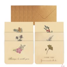 올데이픽 편지지 봉투세트 감사카드, 파스텔