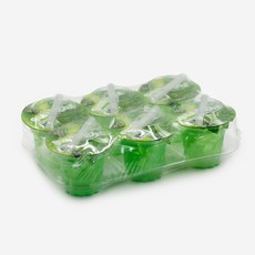 썬라이트 사과맛, 1개, 1080g