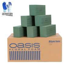 오아시스 플로랄폼 꽃꽂이 재료 용품 조화용 스펀지 + 작업장갑증정, 1박스