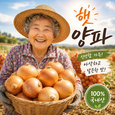 26년 국내산 햇양파 무안 조생 양파 특품 만생종, 1박스, 3kg (특대)