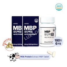 위드바이오 MBP 유단백정 분리대두단백 (초록잎홍합 우슬 유산균), 2개