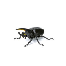 BANDAI 生物大圖鑑 昆蟲篇03 鍬形蟲 甲蟲 模型, 1個, 美西白兜黑色（グラントシロカブト黑）