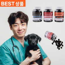 닥터라이어니 강아지 영양제 100g 100정 오메가3 심장 기관지 면역 스트레스케어 M100 1세트 2세트 3세트, 면역/항산화, 3개