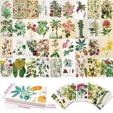 嗨購 50張花草混搭卡片，文藝清新留言明信片，簡約風牆面裝飾卡片套裝, 1個