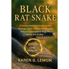 (영문도서)Black Rat Snake: A Comprehensive Guide to the Biology Care Conservation and H... Paperback, Independently Published, English, 9798264758478
