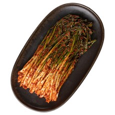 전라도청년 100% 국산재료로 만든 전라도식 파김치, 1개, 2kg