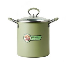 가정용 미니 튀김기 일식 튀김냄비 온도조절 인덕션 가스겸용, 3.5L 아보카도그린 튀김기, 기본 색상