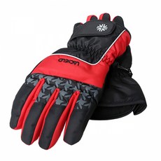 LACIELO 男士防寒防水滑雪手套 LAM-1701, 黑色